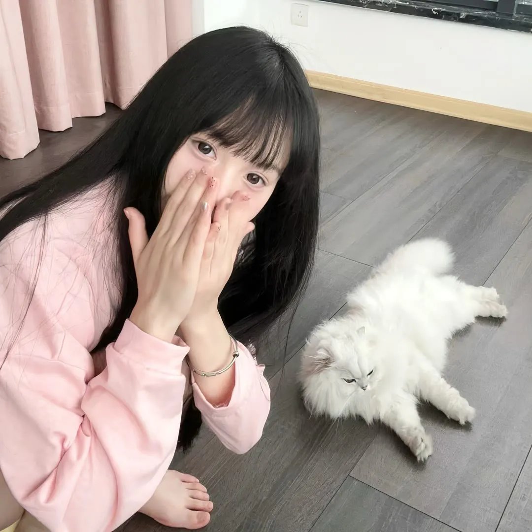 猛虎嗅蔷薇